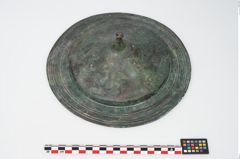 Foto von Bronzephalere (NHMW-PRAE-025544)
